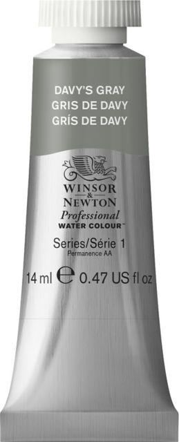 Professional Watercolor 14mL Davy Gray