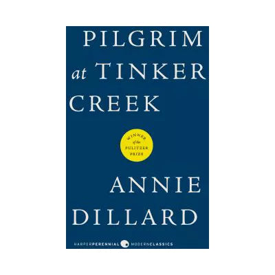 Pilgrim at Tinker Creek