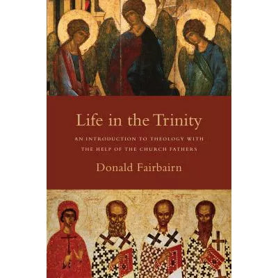 Life in the Trinity