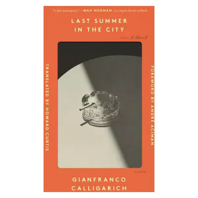 Last Summer in the City