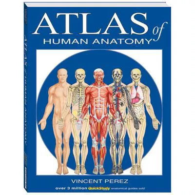 ATLAS OF HUMAN ANATOMY - New (SKU: 9882319)